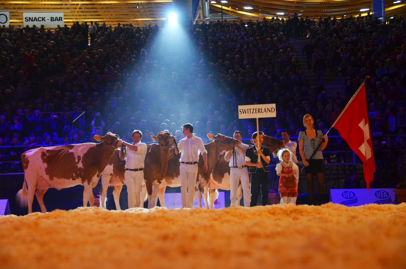 Mit dem Swisscow-Cup findet im Rahmen des Swissherdbook-Jubiläums ein ganz spezieller Viehzuchtwettbewerb statt. (Symbolbild Swissherdbook)