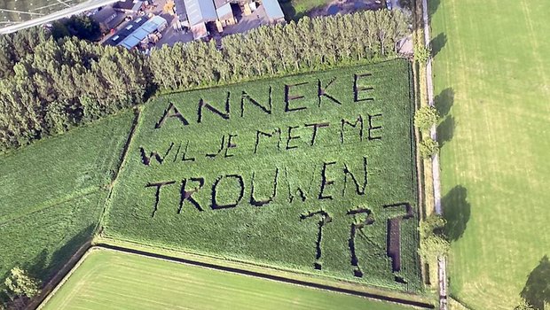Mit akribischer Planung hat ein Landwirt in Belgien seiner Geliebten einen Heiratsantrag in ein Maisfeld gesät. (Bild Keystone/privat/Joost Roothans)