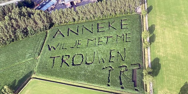 Mit akribischer Planung hat ein Landwirt in Belgien seiner Geliebten einen Heiratsantrag in ein Maisfeld gesät. (Bild Keystone/privat/Joost Roothans)