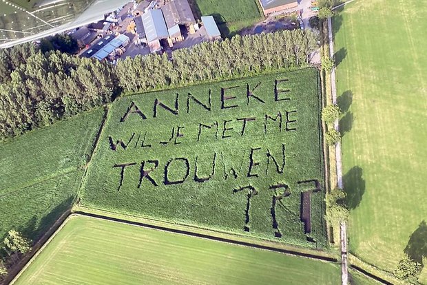 Mit akribischer Planung hat ein Landwirt in Belgien seiner Geliebten einen Heiratsantrag in ein Maisfeld gesät. (Bild Keystone/privat/Joost Roothans)