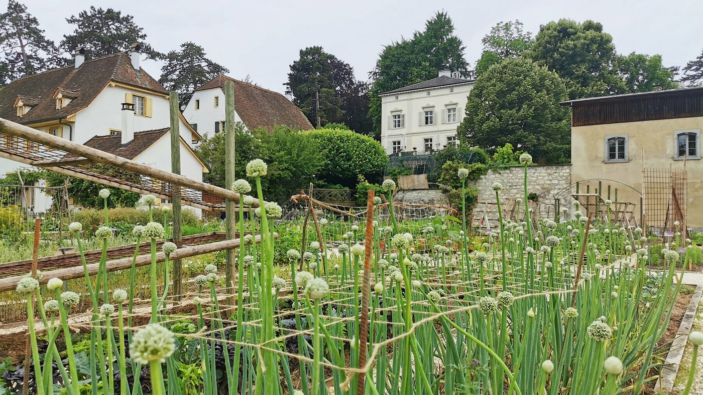 Der Hauptsitz der Stiftung am Stadtrand von Basel. (Bild Nicole Egloff/Pro Specie Rara)