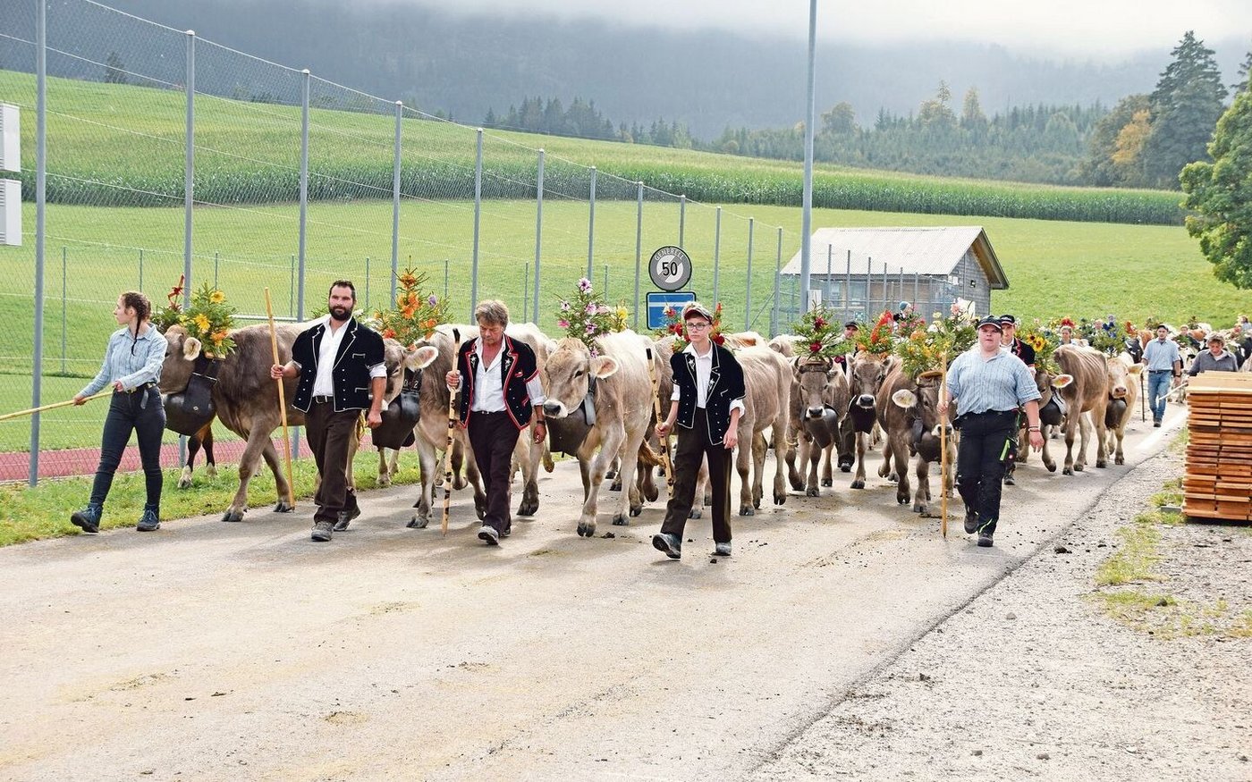 Von der Alp Gross-Ottenleue waren sicher auch um die 150 Tiere unterwegs. Nach einem Halt in Riffenmatt ging es weiter bis nach Schwarzenburg. 