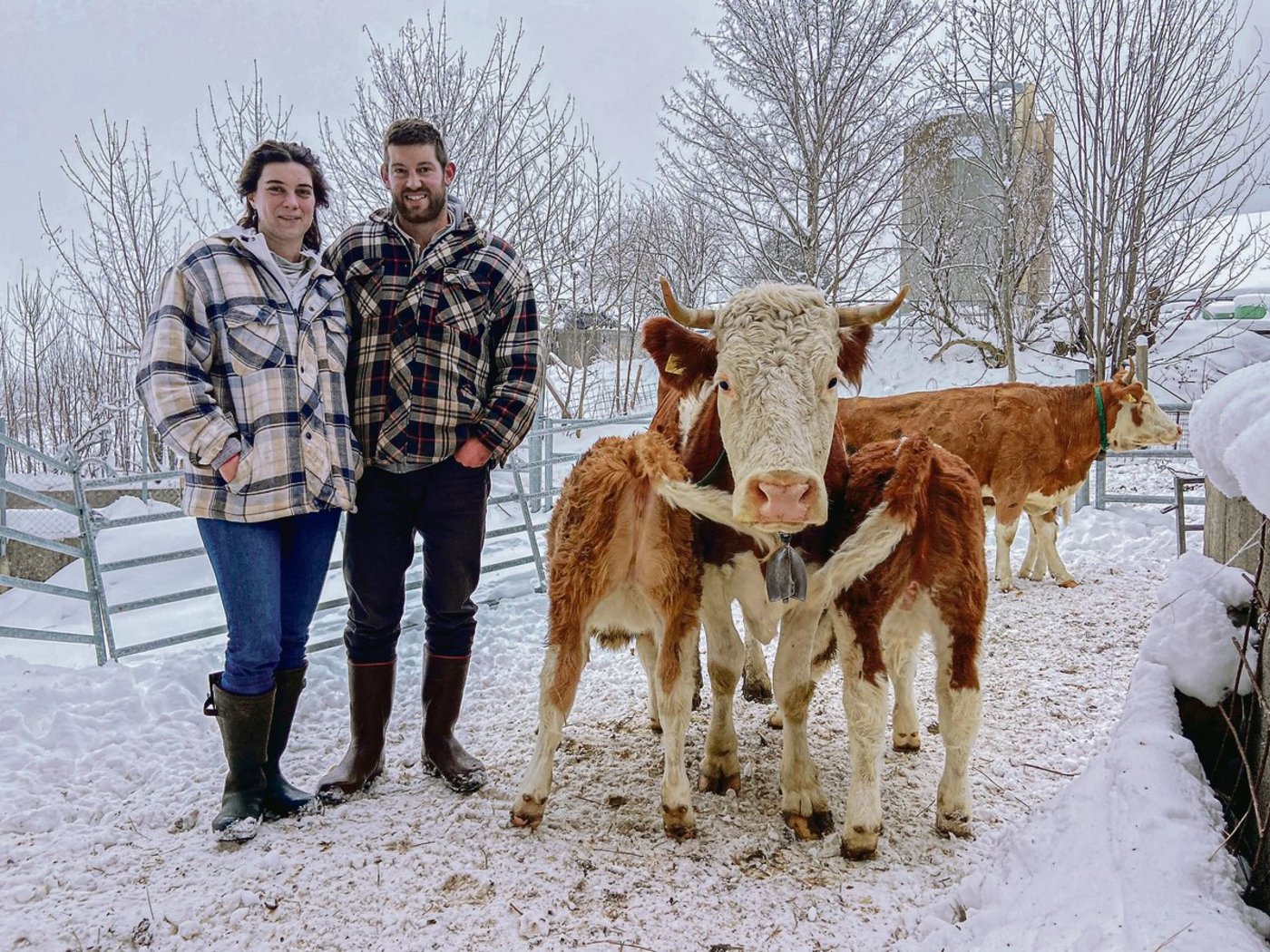 Eine der Neuerungen seit der kürzlichen Betriebsübernahme: Marie Payré und Thomas Glauser arbeiten in ihrer Simmentaler Milchviehherde zur offensichtlichen Freude der Jungtiere mit muttergebundener Kälberaufzucht. (Bild akr)