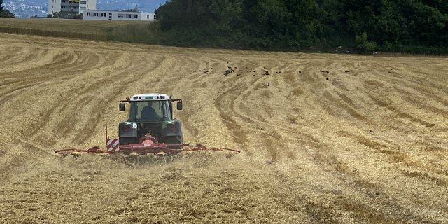 Dort wo das Getreide gedroschen ist, gilt es nun den pH-Wert des Bodens zu bestimmen und wenn nötig eine Kalkgabe zu machen. (Bild Katrin Erfurt)