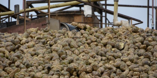 Die Daten für den Kampagnenstart in den verschiedenen Regionen sind festgelegt. (Bild BauZ)