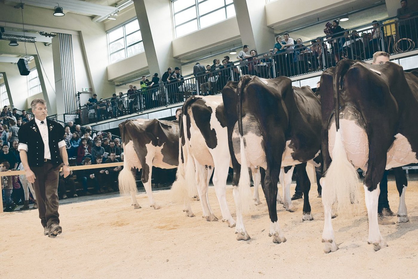 So ein Bild wird es von der nächsten Starparade bestimmt nicht geben. (Bild Archiv BauZ)