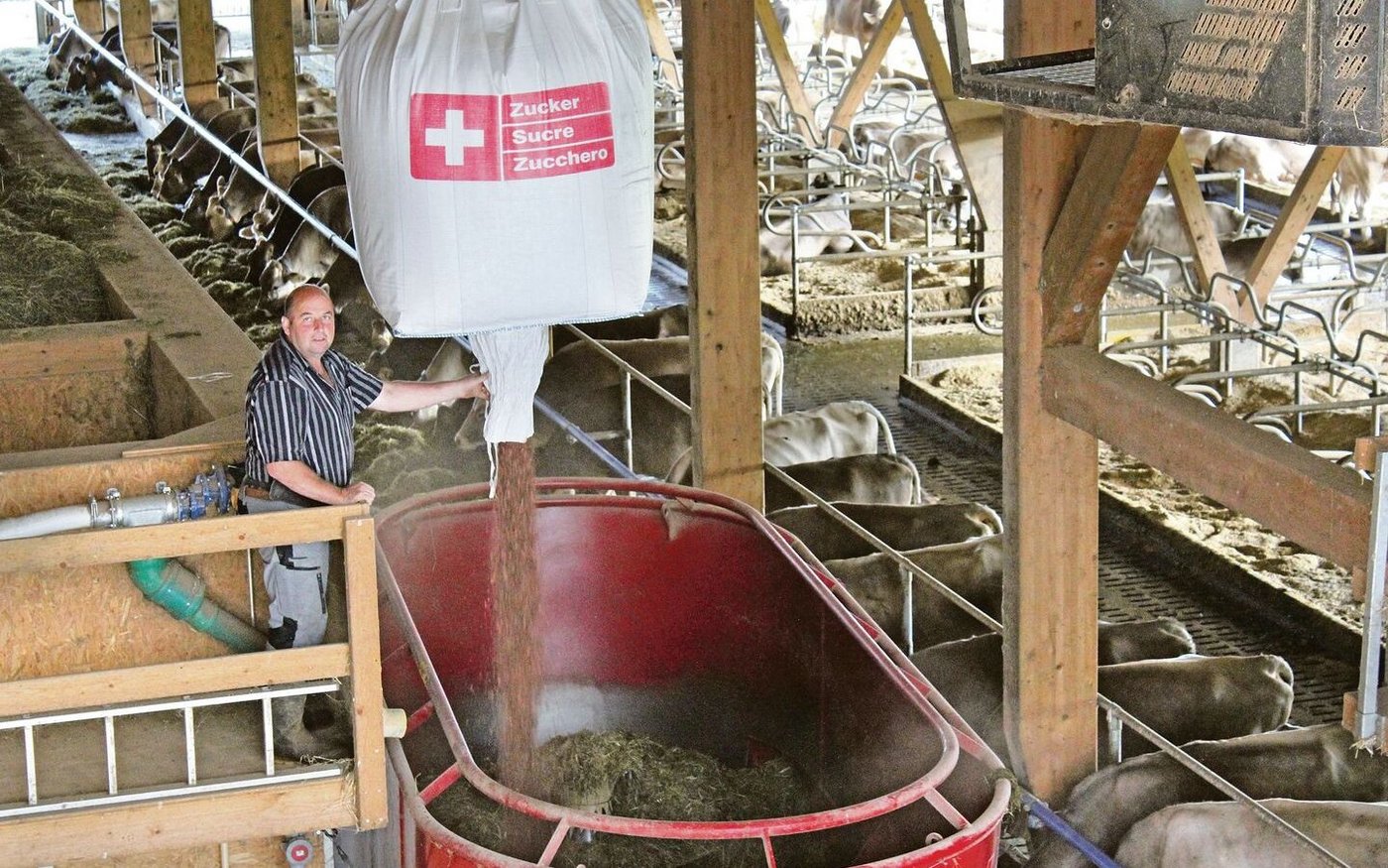 Mithilfe des Heukrans gibt Franz Sigrist die Kakaoschalen zur Futtermischung hinzu.