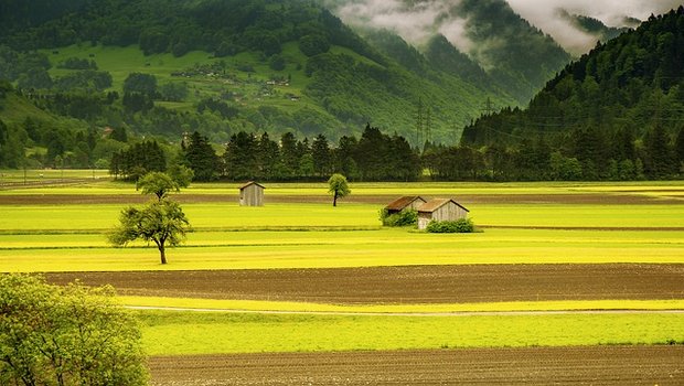 Mit dem Sachplanentwurf können die besten landwirtschaftlichen Böden besser geschützt werden. (Bild pixabay)