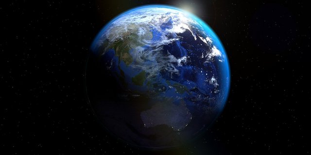 Um eine weitere Verschlechterung der weltweiten Biodiversität zu verhindern, braucht es laut WWF eine Transformation der Nahrungsmittelproduktion und des Konsumverhaltens. (Bild Pixabay)