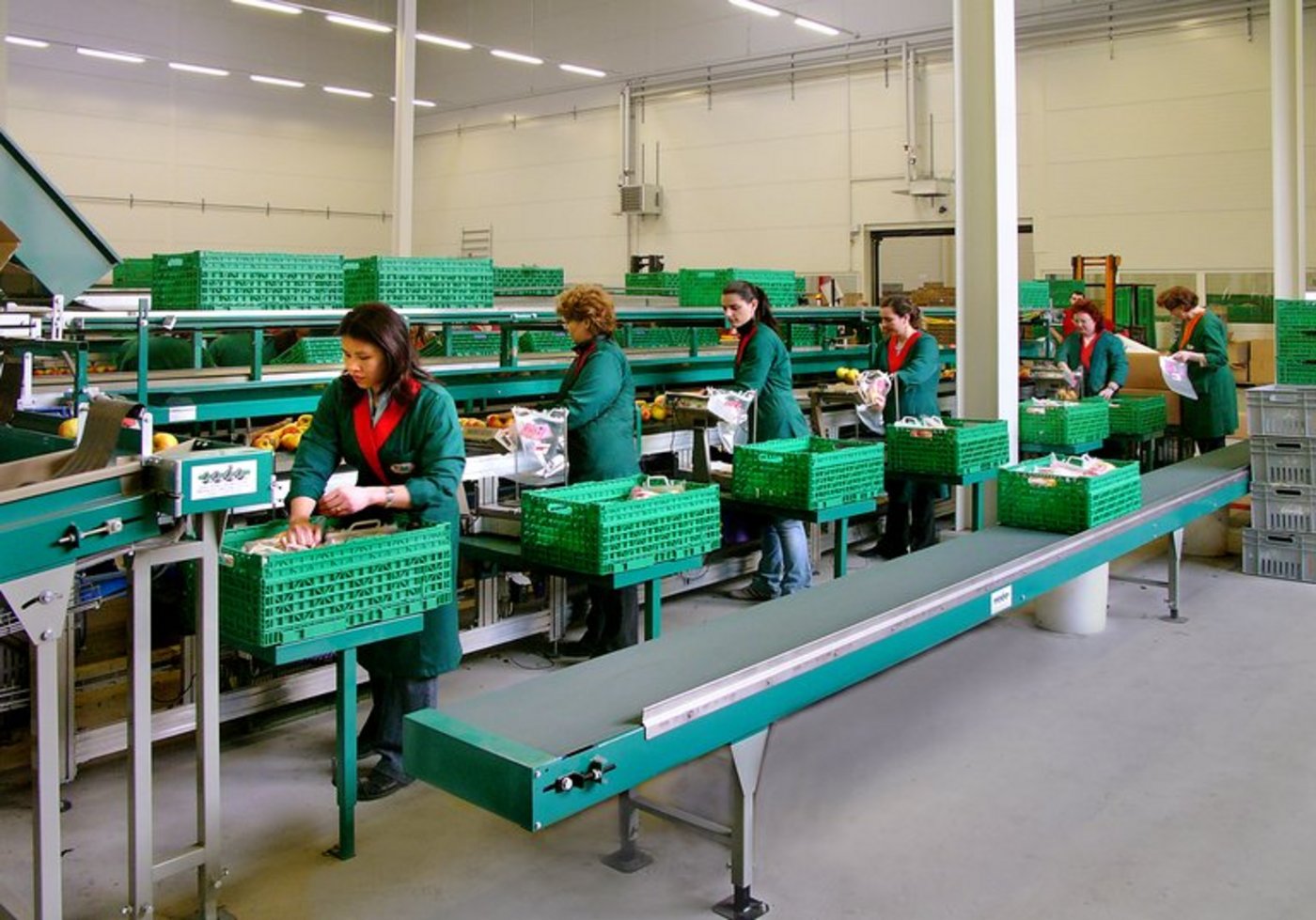 Mitarbeiterinnen sortieren Früchte am Standort Dietikon. (Bild zVg)