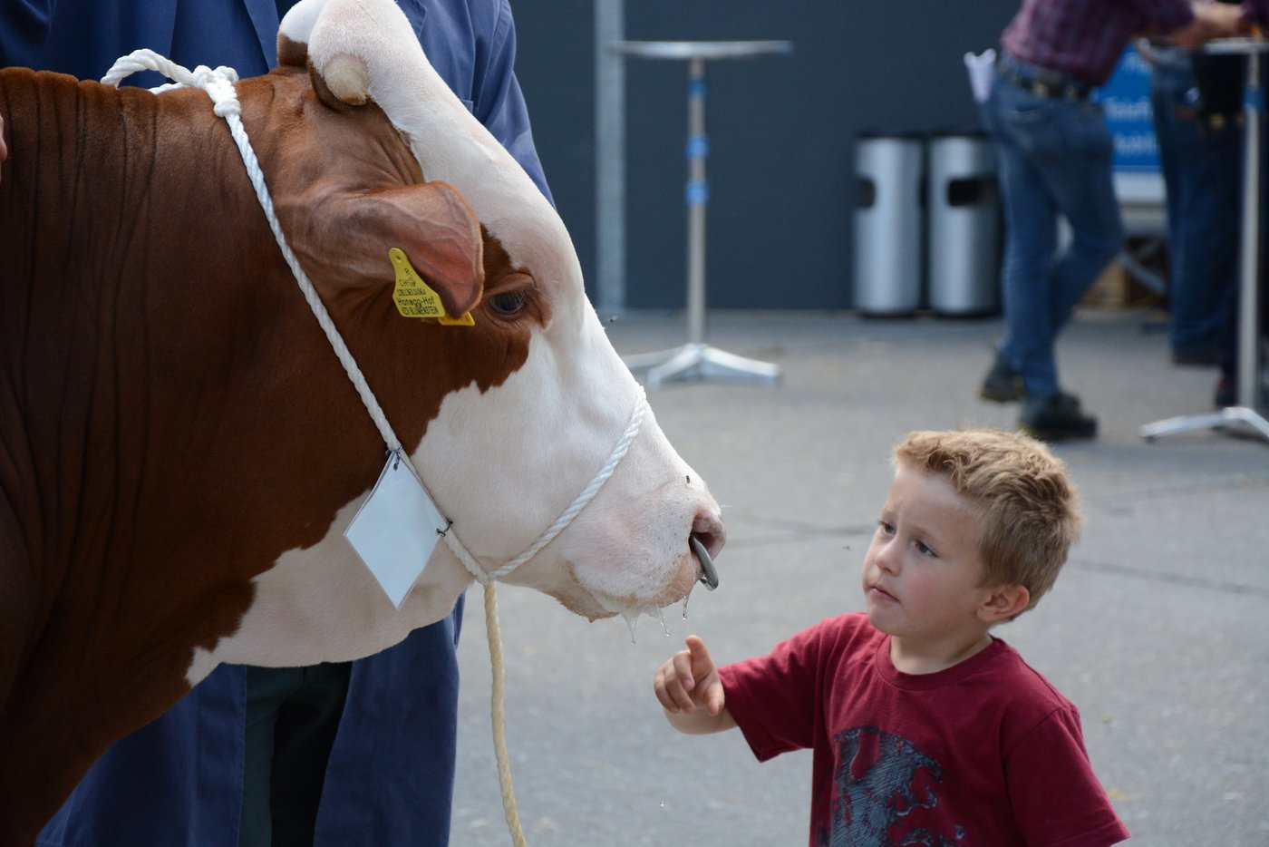 Die Leidenschaft für das «Munelen» wird teilweise ganz früh entdeckt. (Bild sb)