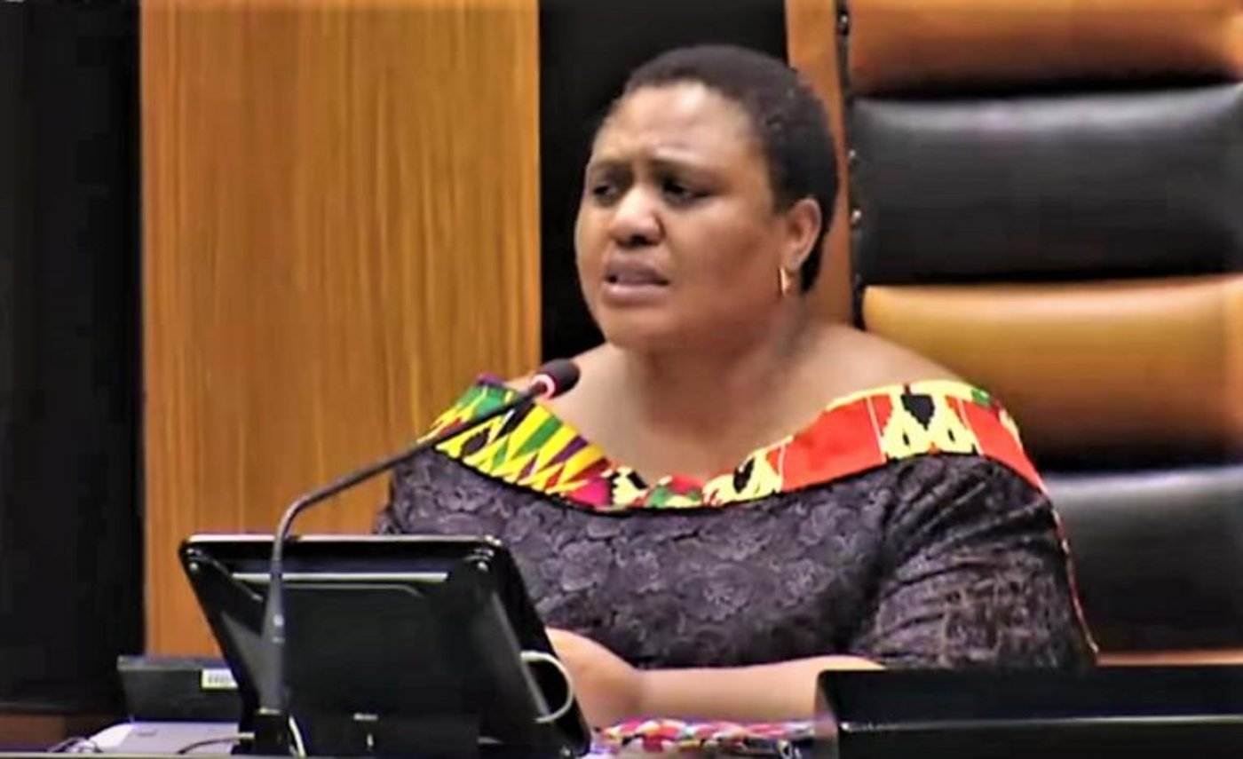 Thoko Didiza: Die ländliche Kriminalität betrifft alle im Agrarsektor. Es spielt keine Rolle, wie gross der Betrieb ist. (Bild youtube.com)