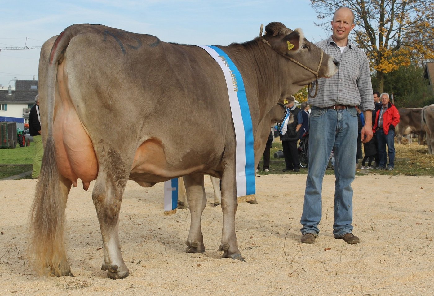 OB-Miss Luzern 2015: Oswald Ornella-ET von Thomas Bucher, Neuenkirch.