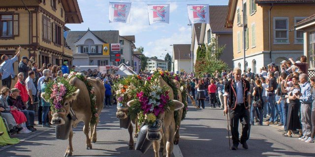 Solche Bilder wird man in Schüpfheim vorerst keine zu Gesicht bekommen. (Bild Entlebucher Alpabfahrt Schüpfheim)