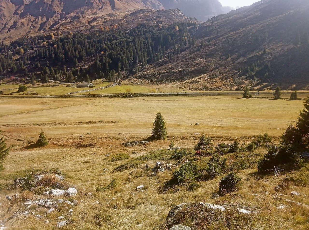 Um die Bewirtschaftung im Sömmerungsgebiet rationeller zu gestalten, sollen Sömmerungsflächen mit landwirtschaftlichen Nutzflächen abgetauscht werden dürfen und umgekehrt.