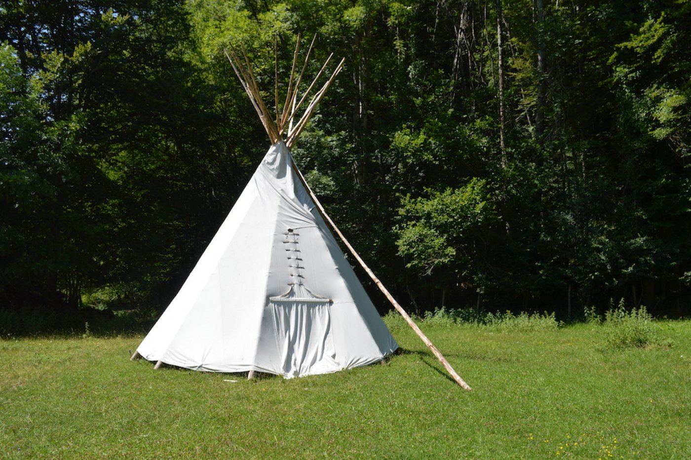 Auch Agrotourismus wäre etwas, dass Jasmin Blaser in Zukunft einmal anbieten möchte. 