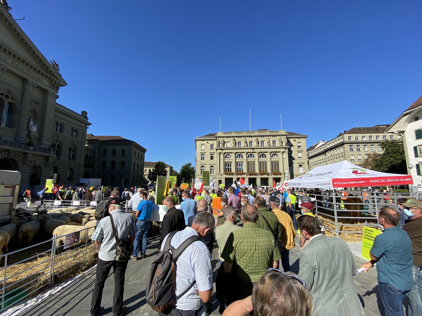 Um seiner Botschaft Nachdruck zu verleihen, hat das JA-Komittee Schafe, Ziegen, Kühe und Pferde mit auf den Bundesplatz gebracht. (Bild lja)