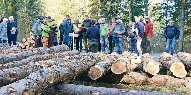 Der Aufwand für das Rüsten und den Transport hat sich in den allermeisten Fällen gelohnt: Wertholzsubmission Mitte März in Schiltwald.