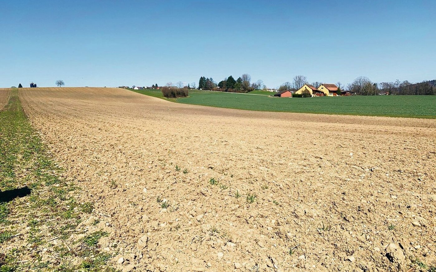 Nach den nassen letzten Monaten ist es vielerorts noch zu früh für eine Bearbeitung. 
