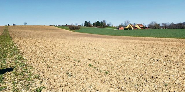 Nach den nassen letzten Monaten ist es vielerorts noch zu früh für eine Bearbeitung. 