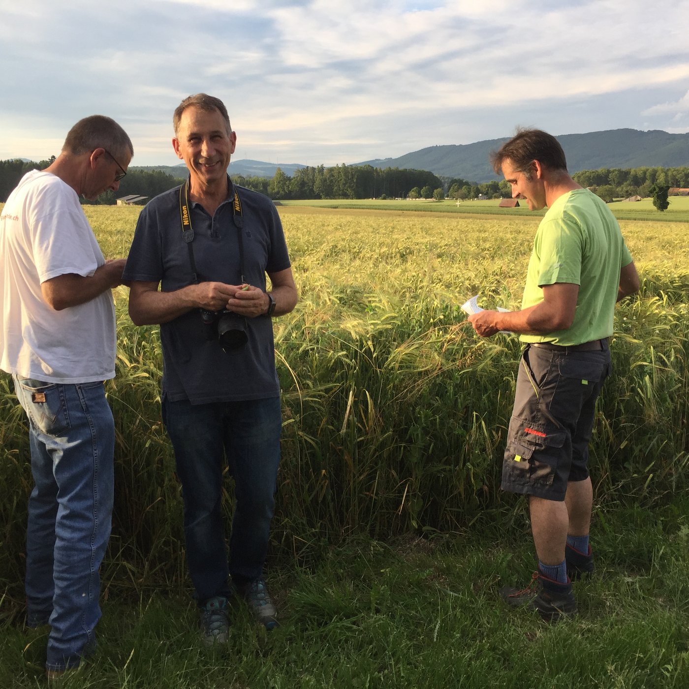 Betriebsleiter Anton Obrist (rechts) und FiBL-Mitarbeiter Hansueli Dierauer (links) vor einer Eiweisserbse-Gerste-Mischung. (Bild Else Bünemann, FiBL)