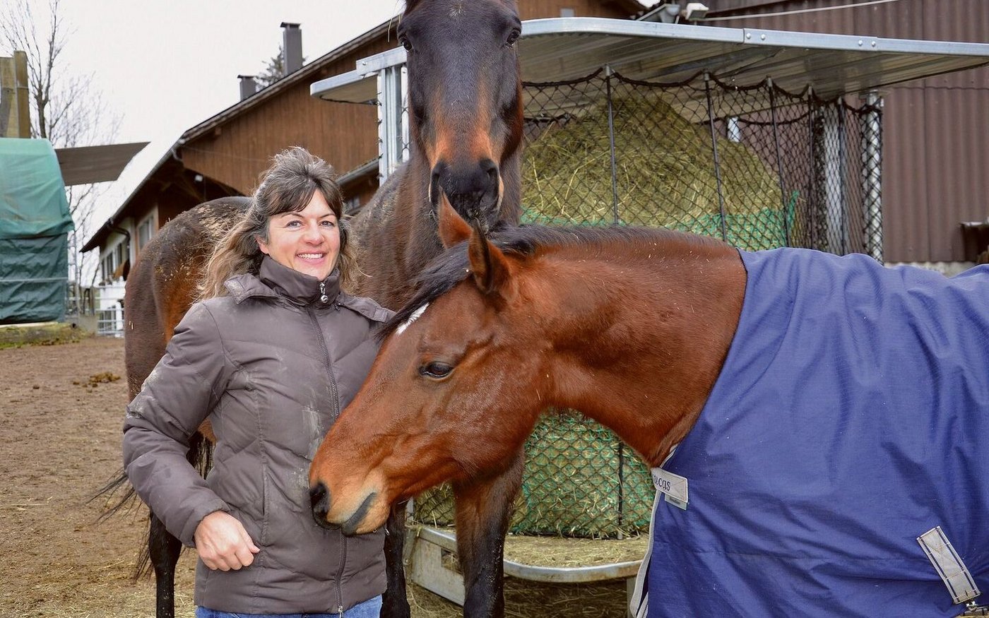 Auf dem Neuhof können Pferde ihren Lebensabend verbringen: Die Altersweide mit Pension ist der Zuständigkeitsbereich von Heidi Tiefenauer.