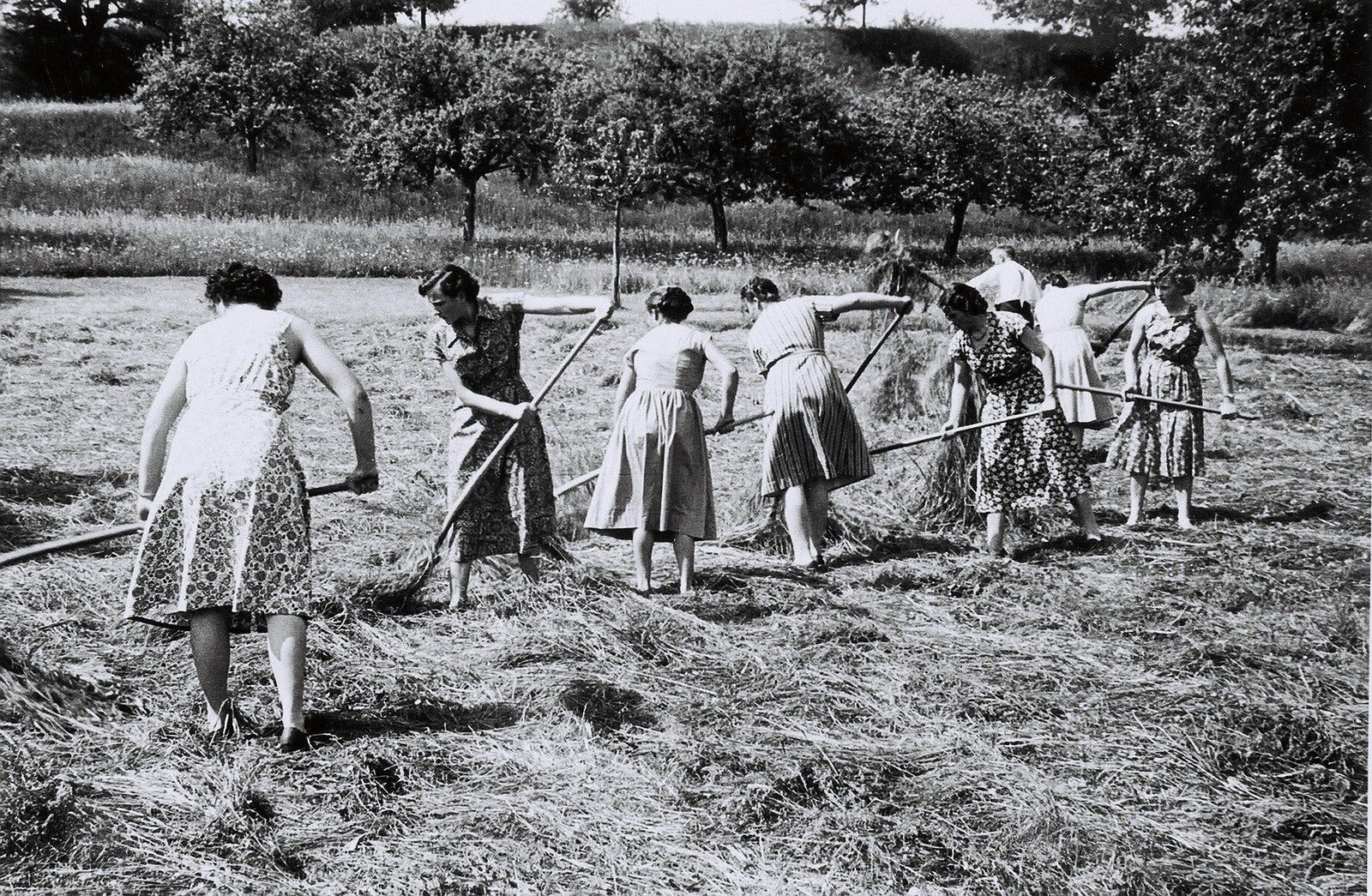 56+ Garten Der Frauen 1900-1940, Wegbereiterinnen der moderne in
