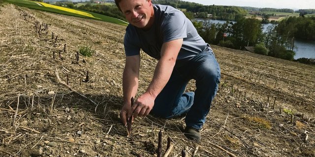 Seit 2011 baut Beat Striegl auf 1,5 Hektaren über dem Hüttwilersee violette und grüne Spargeln an. Vermarktet werden sie via Landi Hüttwilen an Grossverteiler. (Bilder Alexandra Stückelberger)