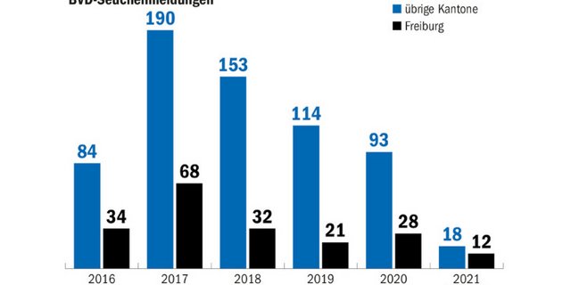 Seit 2017 haben die BVD-Seuchenmeldungen in der Schweiz deutlich abgenommen. Mit den meisten Fällen kämpft nach wie vor der Kanton Freiburg. (Grafik Matthieu Induni/Quelle BLV)