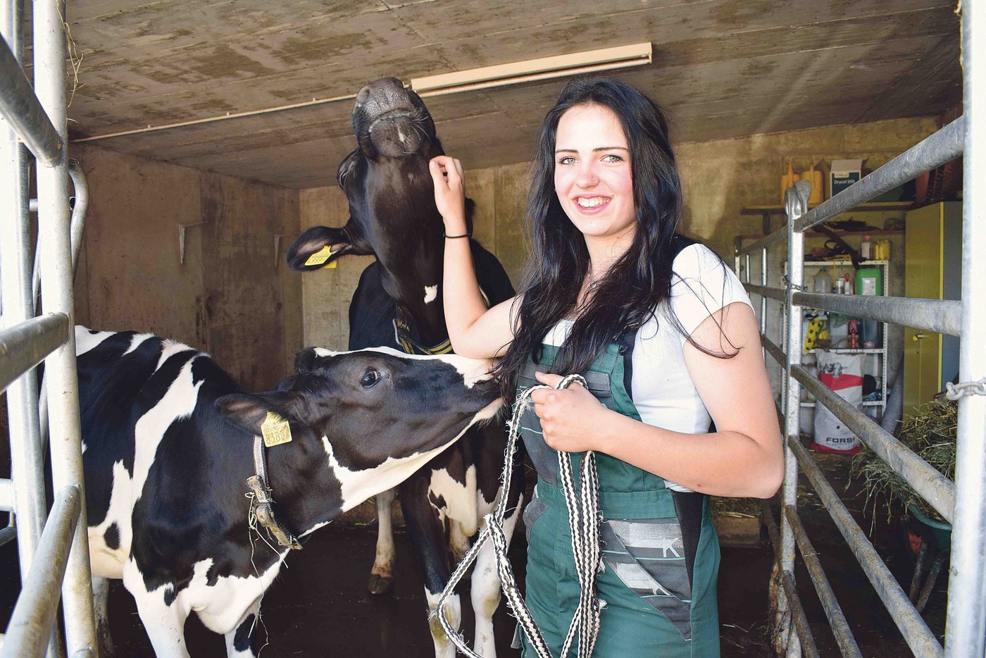 Zutraulich: Die beiden Rinder geniessen die Streicheleinheiten wohl nicht zum ersten und letzten Mal.