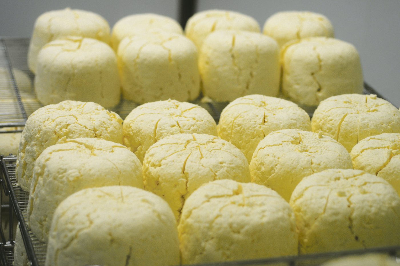 Noch ganz weiss: Willi Schmid Jersey-Blue-Käse im noch jungen Reifestadium.