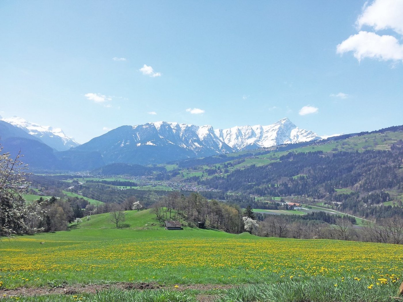 1994 entstand in Domleschg GR der Vorgänger der Landschaftqualitätsprojekte. Der mit der AP 2014–17 eingeführte Beitrag schaffte es sogar ins Parlament.			(Bild BauZ)