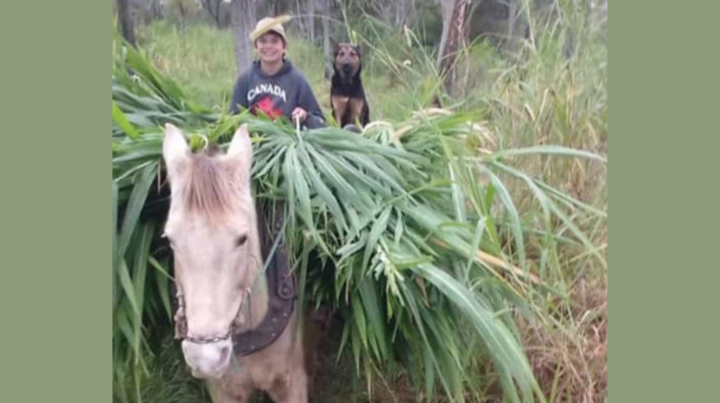 Auch die Kinder helfen gerne mit und lernen dabei. (Bild Michèle Huber)