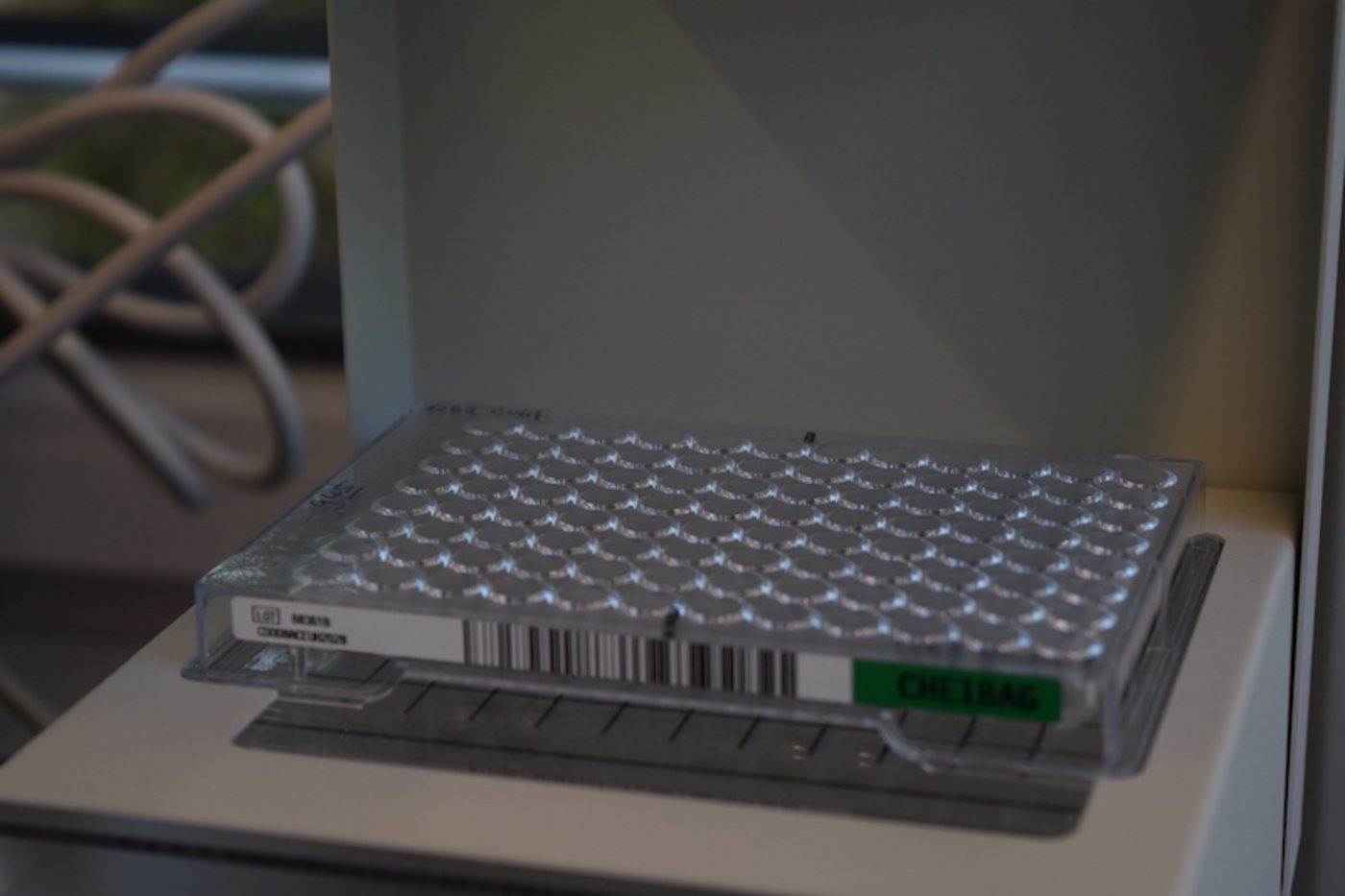 So sieht die Mikrotiterplatte aus. Dank einem Strichcode können die Ergebnisse rasch eingelesen werden.