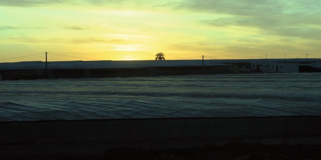 Plastik, so weit das Auge reicht: Insgesamt beanspruchen die Treibhäuser in Almería 36'000 Hektaren Fläche. Bild: Sebastian Hagenbuch