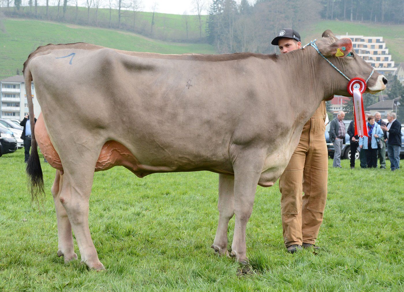 Schöneuter Junior, Blooming Fantasy, WTS-Genetics, Menznau.