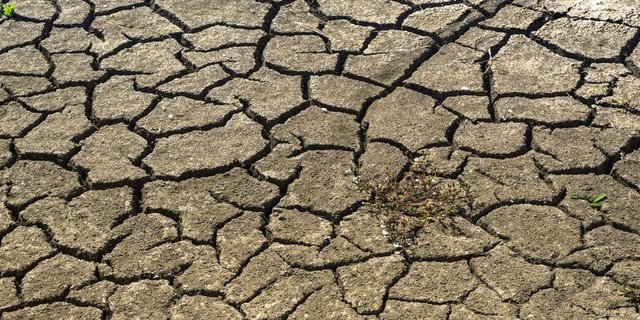 Konflikte und Dürre bedrohen verschiedene Regionen Afrikas. (Bild zVg)