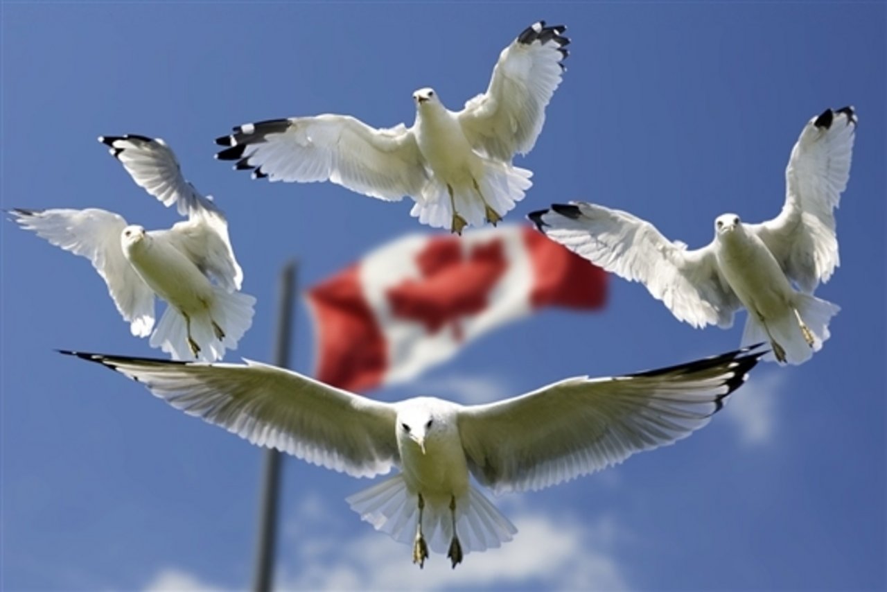 CETA ist ein Freihandelsabkommen zwischen Kanada und der EU. (Bild Pixabay) 