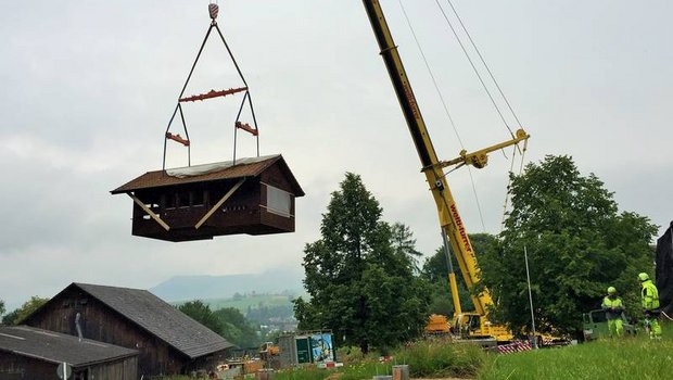 Der Kran mit Teleskop-Mast der Firma Welti-Furrer hob den kompletten Lehrbienenstand des FiBL aus einer Distanz von 45 Metern in die Höhe, drehte sich um 180 Grad. (Bilder FIBL, Franziska Hämmerli)