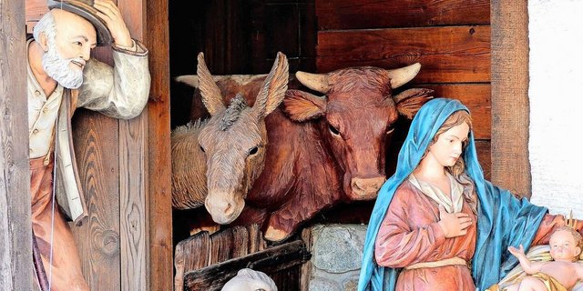 Für Bauernfamilien ein vertrautes Bild: Ochs und Esel im Stall bei der Weihnachtskrippe. 