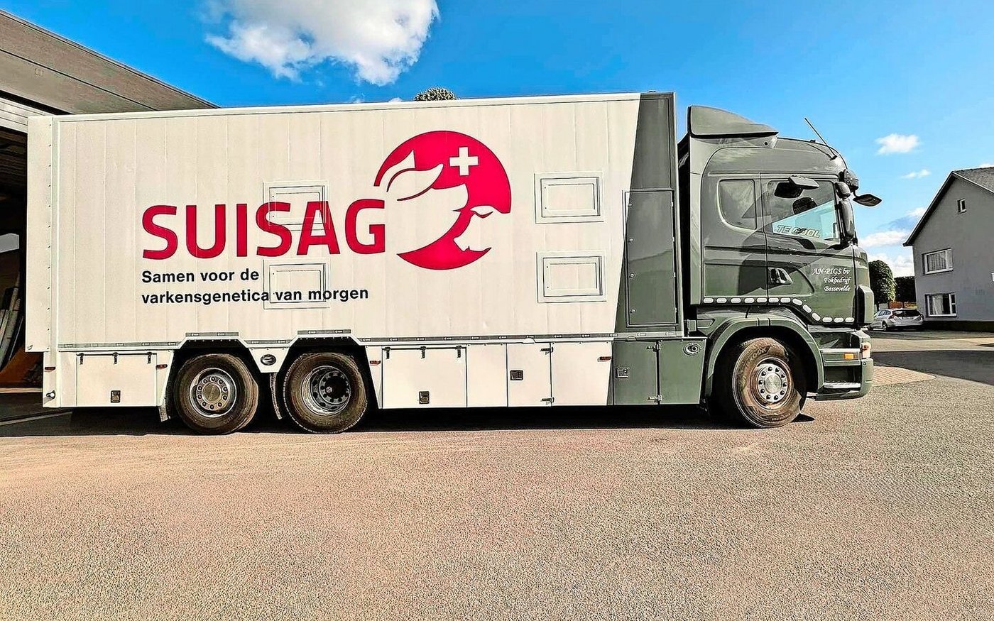 Suisag-Logo auf einem Lastwagen in der Region Flandern, Belgien. Hier setzt ein Vermehrungszüchter auf Schweizer Genetik.