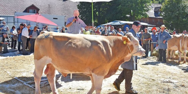 Ob das Wetter auch heuer wieder so gut ist, ist ungewiss. Sicher ist, dass wieder Spitzentiere auf dem Platz sein werden. 