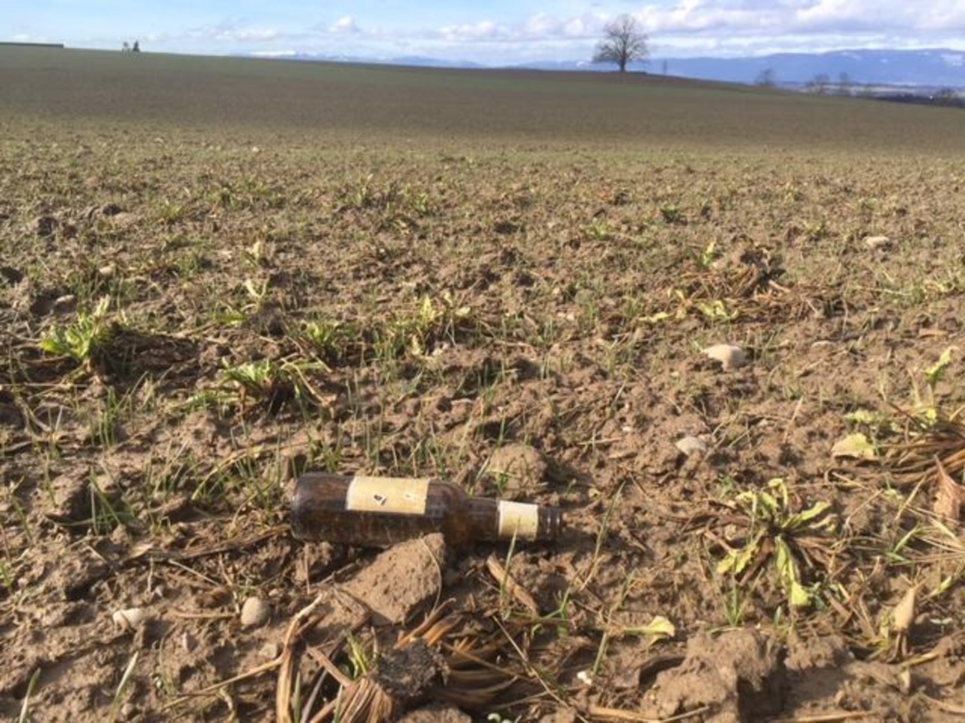 Bereits heute könnte der Bundesrat unter bestimmten Bedingungen ein obligatorisches Pfand auf Flaschen einführen. Ein solcher Aufpreis könnte dem verbreiteten Littering entgegenwirken. (Bild jsc)