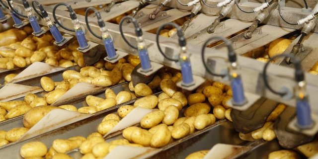 Auch übersteigerte Qualitätsvorschriften tragen zur Lebensmittelverschwendung bei. (Bild lid)