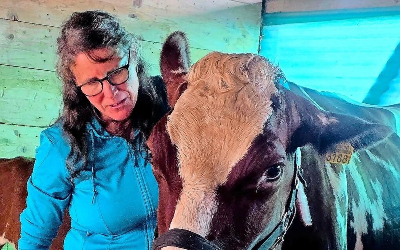 Nicole Studer ist Tierärztin. Seit vielen Jahren hat sie sich der Homöopathie verschrieben. Sie leitet bei Kometian das Beratungsteam.