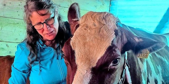 Nicole Studer ist Tierärztin. Seit vielen Jahren hat sie sich der Homöopathie verschrieben. Sie leitet bei Kometian das Beratungsteam.