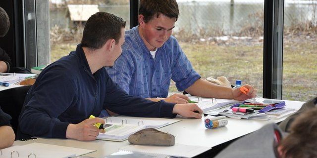 Schüler der Landwirtschaftlichen Grundbildung am Inforama Rütti lösen eine Aufgabe. (Bild zVg)