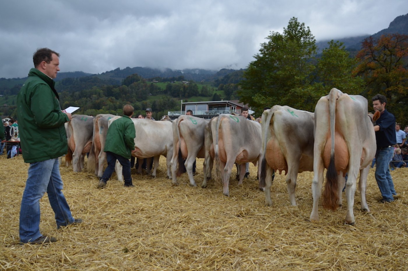 Vier Experten standen letzten Samstag in Schänis im Einsatz.