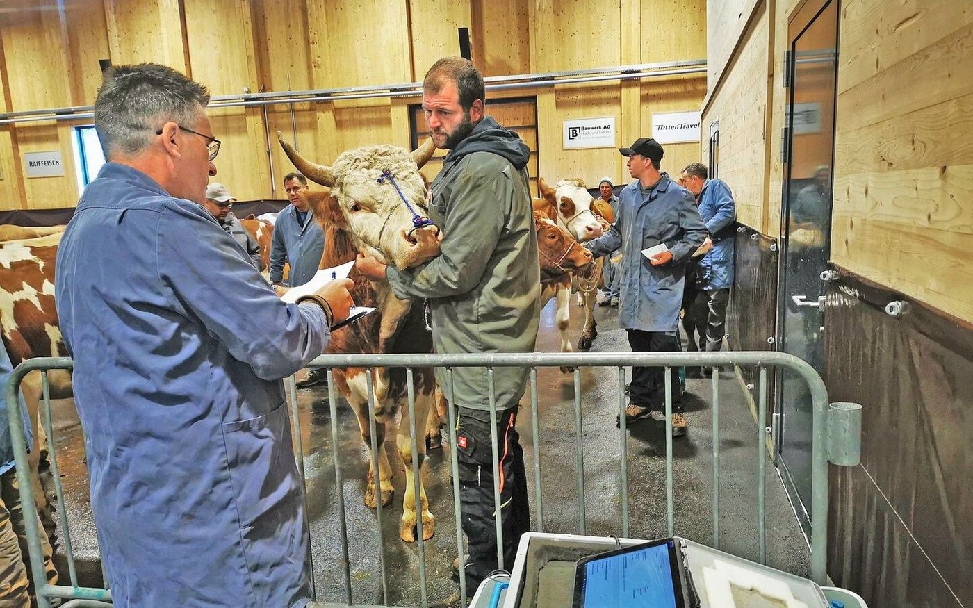 Zur Einschätzung der Alterklassen an den öffentlichen Märkten gehört der Blick ins Maul und das Zählen der Schaufeln nur noch bis Neujahr dazu. Ab dann zählt das biologische Alter.