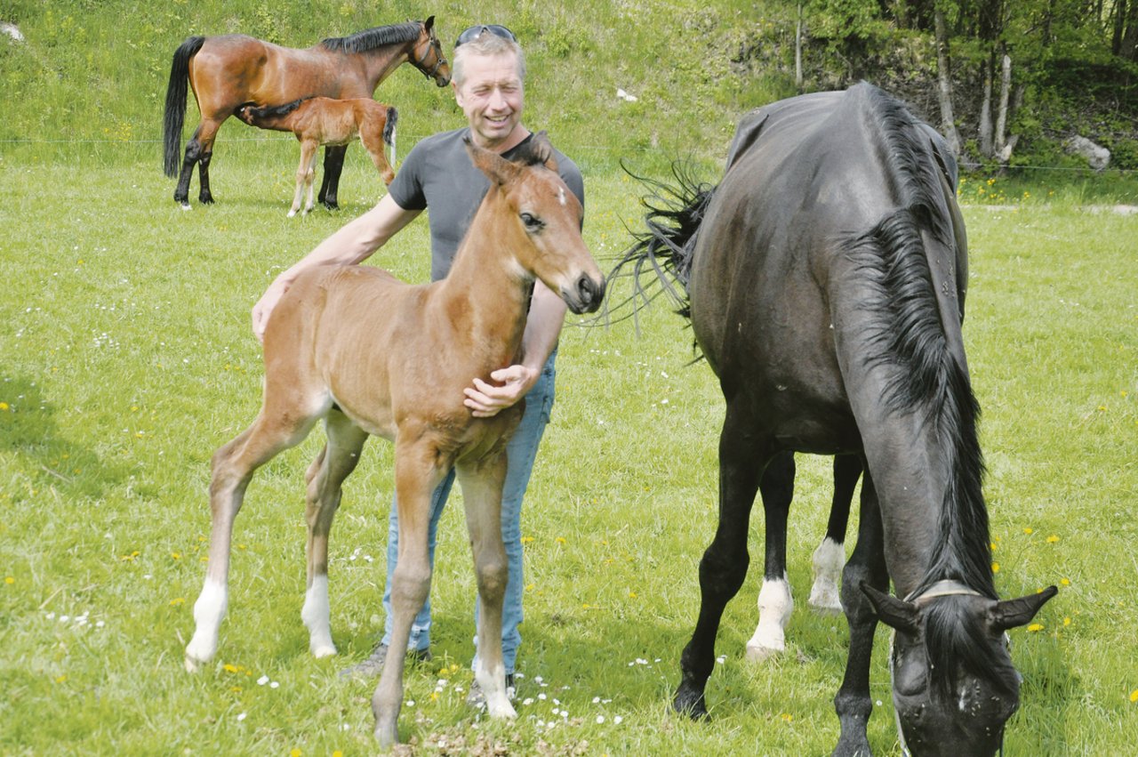 Daniel Steinmann, neuer Präsident des ZVCH, züchtet auf seinem Hof in Rüti Schweizer Warmblutpferde.(Bild Alexandra Stückelberger)